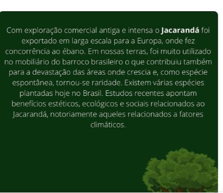 WhatsApp Image 2021 09 14 at 12.39.23 - Bordando Árvore - Jacarandá Mimoso