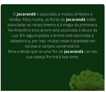 WhatsApp Image 2021 09 14 at 12.39.231 - Bordando Árvore - Jacarandá Mimoso