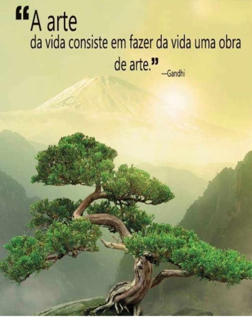 WhatsApp Image 2021 11 01 at 16.40.36 812x1024 - Bordando Árvore – Bonsai de Cerejeira